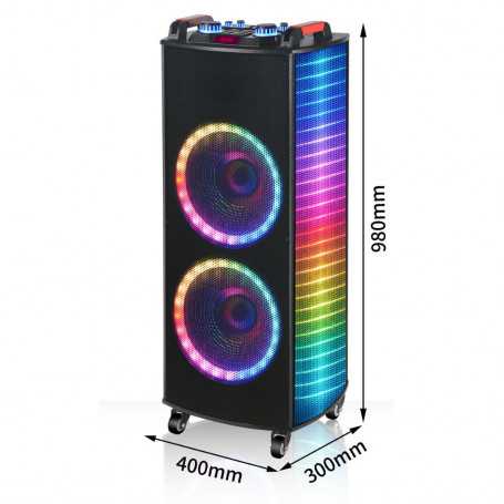Baffle Bluetooth avec 2 micros